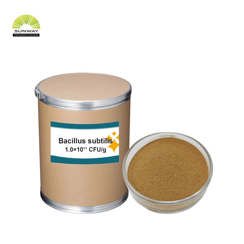 Probiotik Clostridium Butyricum Pakan Ternak untuk Unggas, Ayam, Ayam Pedaging, Ayam Petelur, Babi, Sapi, Ikan Perah, Udang, Pakan Hewan Peliharaan