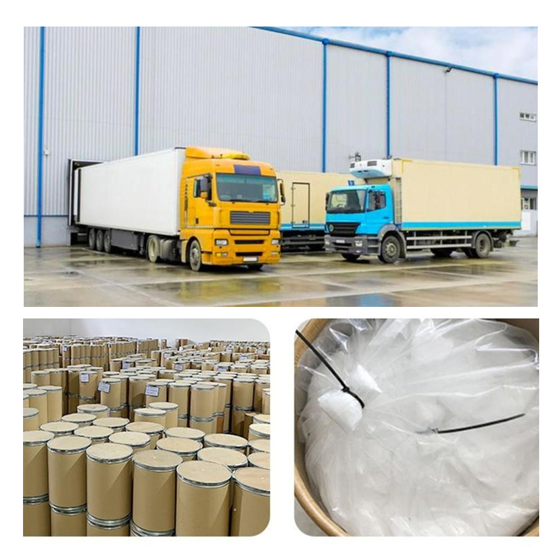 Ekstrak Cacing Tanah Bubuk Protein Cacing Tanah 90%