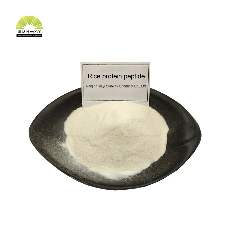 Aditif Makanan Bubuk Protein Beras Organik Protein Beras Non-GMO Petide Protein Beras Massal Petide