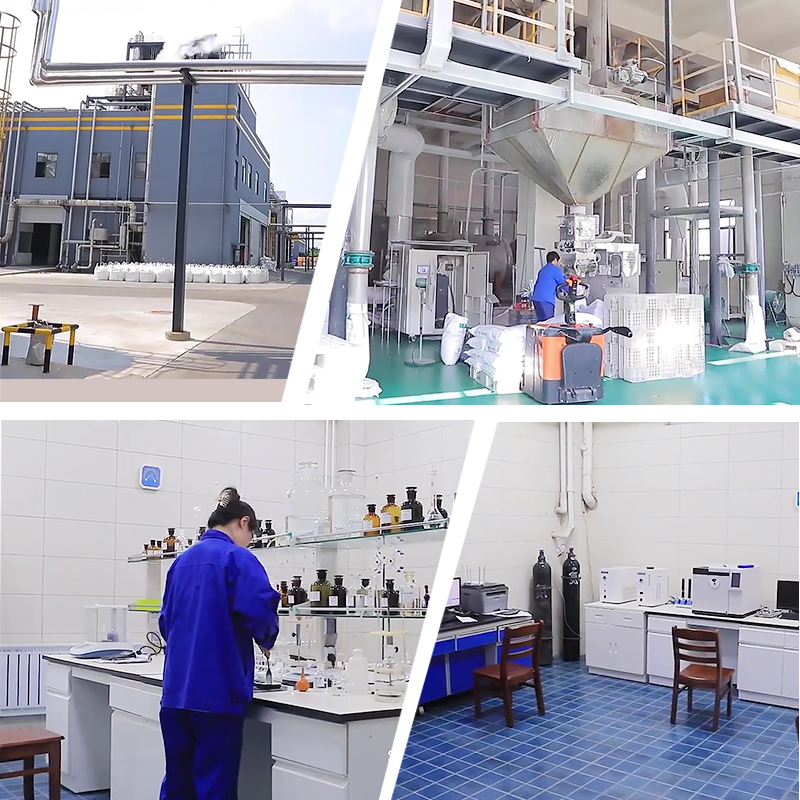 Pemanis Alami 99% Sukralosa Bubuk Pemanis Sukralosa 25kg E955 Harga Grosir Grosir