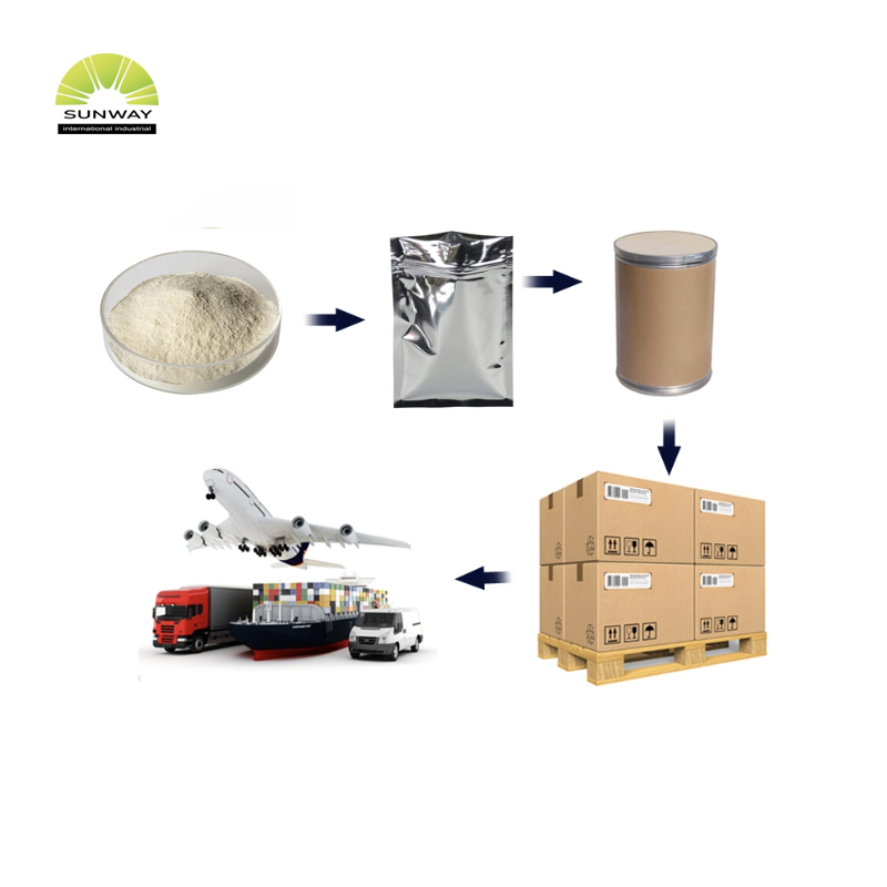 Deterjen Bubuk Protease Alkali Aktivitas Enzim Tertinggi 9025-49-4 dengan Harga Terendah Bahan Baku Massal