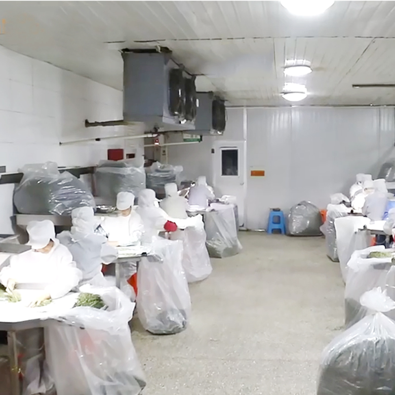 Bahan Makanan dan Aditif Sayuran Dehidrasi Harga Grosir Bubuk Tomat Dehidrasi Halal