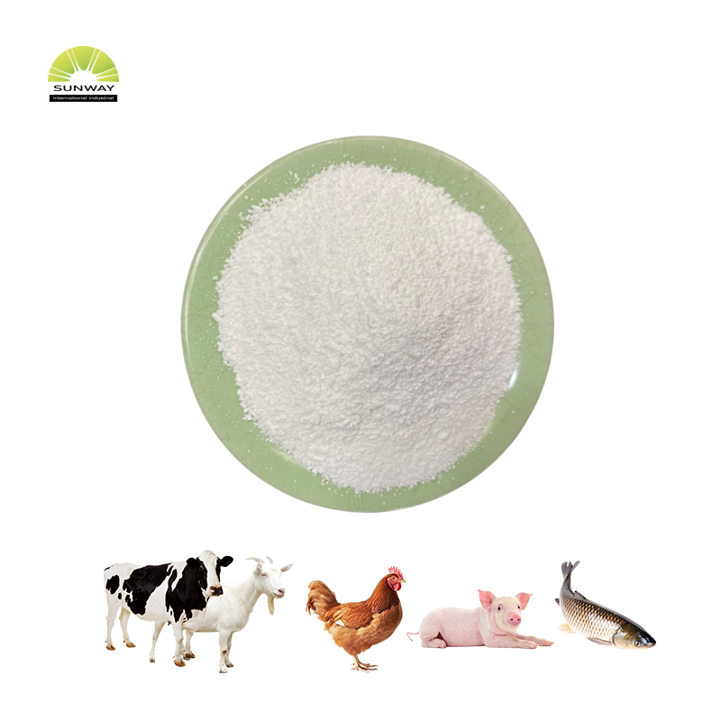 Asam Amino Arginin 99% Pakan Kelas Dijual