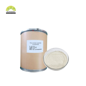 Aditif Makanan Bubuk Protein Beras Organik Protein Beras Non-GMO Petide Protein Beras Massal Petide