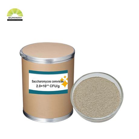 Pabrik 20 Miliar Saccharomyces Cerevisiae Bubuk Ragi Pembuat Bir Aditif Pakan Ternak untuk Unggas Ternak Babi Sapi Domba