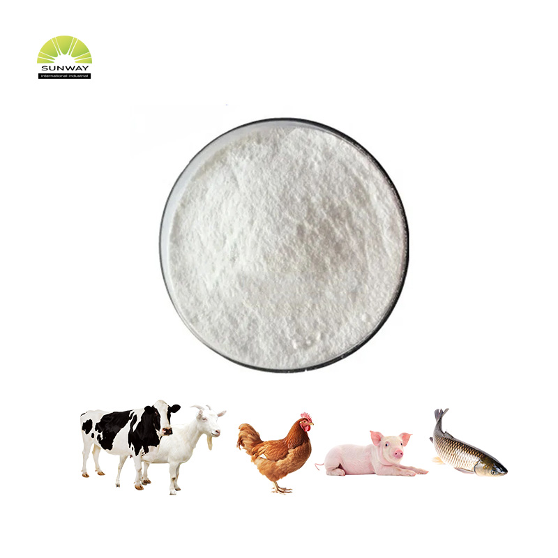 Bubuk Putih Monohidrat Glukosa/Dekstrosa C6H12O6 Kelas Pakan Terlaris