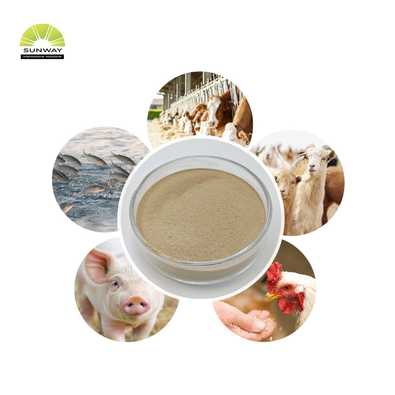 Aditif Pakan 25kg Kantong 50000u/g Bubuk Enzim Beta Dextranase untuk Meningkatkan Kekebalan Tubuh