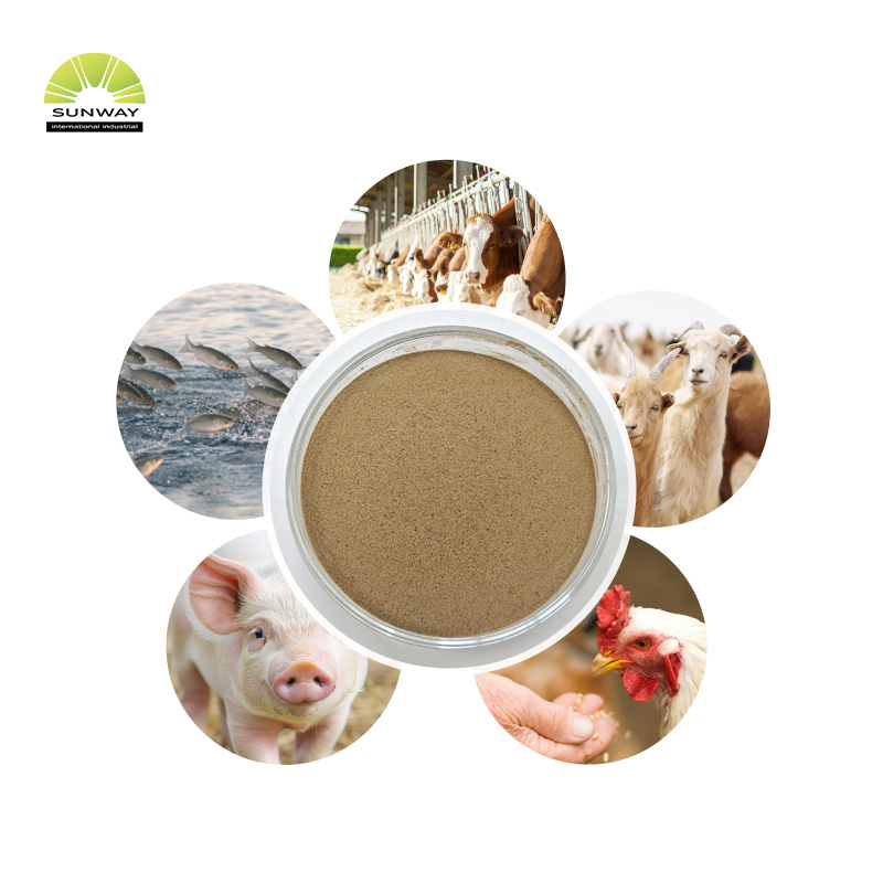 Enzim Mannanase Beta Mannanase 50000u/g untuk Pakan untuk Meningkatkan Kekebalan Hewan