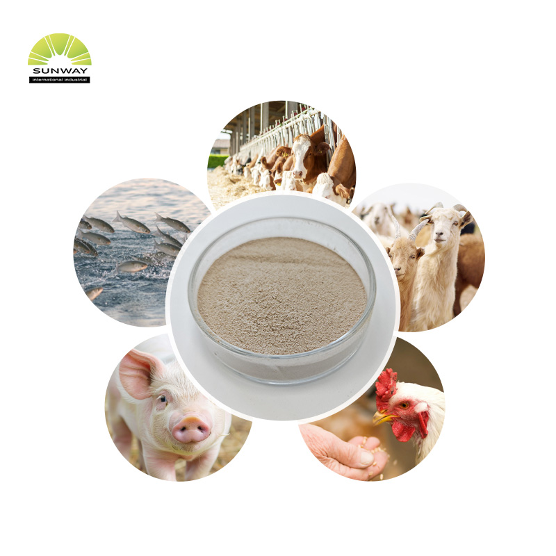 Enzim Xilanase Kelas Pakan Xilanase Termostat untuk Pakan Ternak Unggas