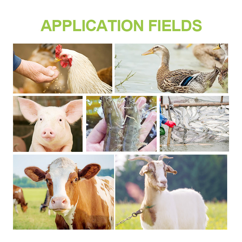 Aditif Pakan Vitamin Premix Bubuk Pakan Ikan Premix Untuk Penguat Pertumbuhan Ikan