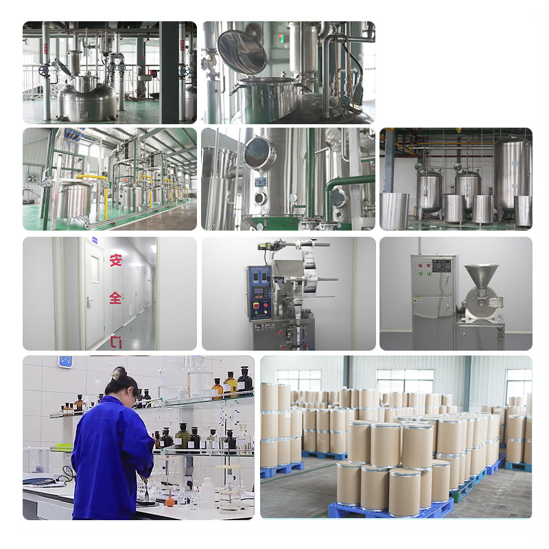 Aditif Makanan Asam Askorbat Organik Menengah Berkualitas Tinggi VC CAS No.50-81-7 Harga Pabrik