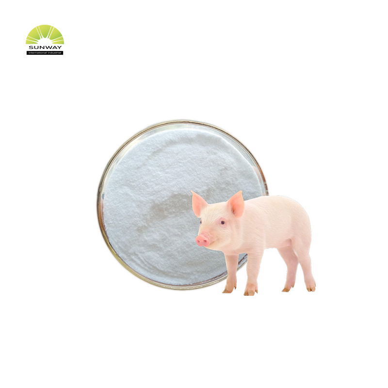 Asam Amino Arginin 99% Pakan Kelas Dijual