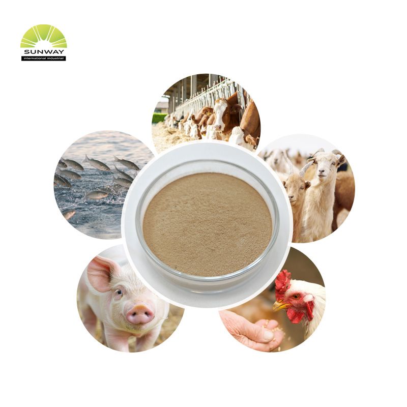 Harga Bubuk Enzim Alfa-amilase Termostat Berkualitas Tinggi