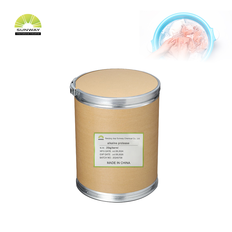 Deterjen Bubuk Protease Alkali Aktivitas Enzim Tertinggi 9025-49-4 dengan Harga Terendah Bahan Baku Massal