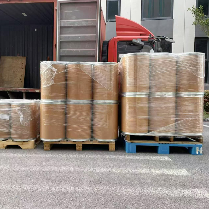 Bubuk Probiotik Bacillus Coagulans Kelas Pakan untuk Unggas