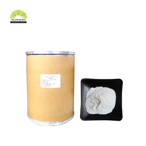 Aditif Makanan Berkualitas Tinggi Bubuk Ekstrak Beras Bubuk Protein Beras Bubuk Beras