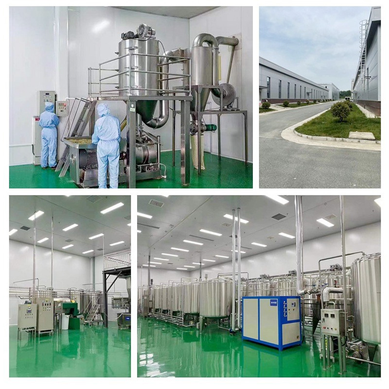 Aditif Makanan Bubuk Protein Beras Organik Protein Beras Non-GMO Petide Protein Beras Massal Petide