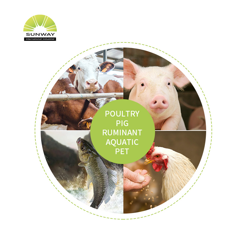 Pengikat Toksin Pakan Kemurnian Tinggi 95% Bubuk Montmorillonit untuk Unggas untuk Pakan Ternak